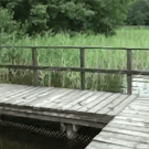 Guy slips and falls while jumping in pond