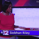 Reporter draws penis on live news