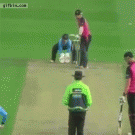 Cricket player accidentaly hits flying seagull