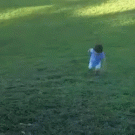 Dog takes kid out