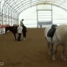 Jumping on horse fail