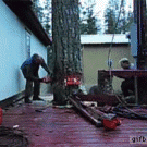 Lumberjack drops tree in narrow spot