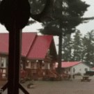 Tree gets hit by lightning