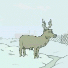 Reindeer (animation by Treat)