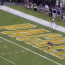 Randall Cobb 108-yard touchdown