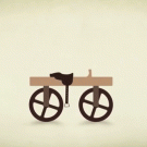 Evolution of the bicycle