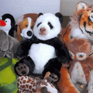 Stuffed panda comes to life - Maymo the Beagle