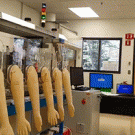Scientist has fun with high-fives