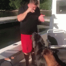 Dog pushes man out of boat