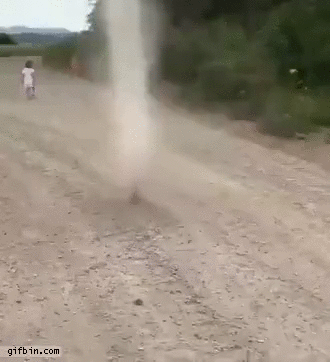 Dog Chases Dust Devil | Best Funny Gifs Updated Daily