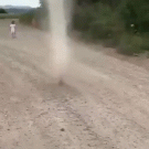 Dog chases dust devil