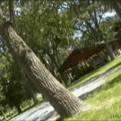 Tree flip fail