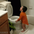 Kid sticks head in toilet bowl
