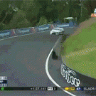 Kangaroo almost hit by race car