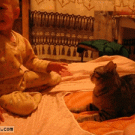 Baby starts fight with cat