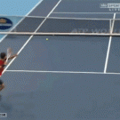Amazing tennis shot  (Grigor Dimitrov)