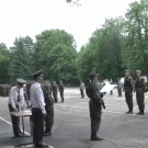 Falling tree interrupts Russian military ceremony