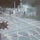 Woman at level crossing near-miss