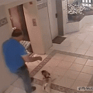 Man with eggs vs. pug elevator near-death experience