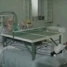 Ping pong in bed
