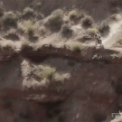 Insane bike backflip off a cliff