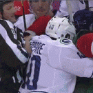 Hockey referee gets punched