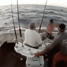 Man jumps off boat after marlin jumps in