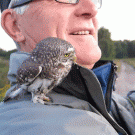 Baby owl on a man's shoulder