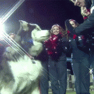 Northern Illinois' husky mascot Diesel, gives out a high-five