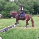 Hesitant horse gracefully jumps a ditch