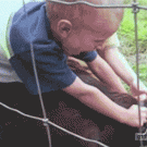 Kid falls off goat into barrel of water