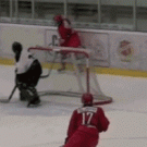 Hockey player scores from behind the goal