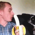 Sharing banana with dog