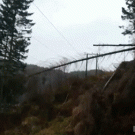 Clearing fallen trees off power lines