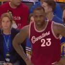 Woman gets busted mocking LeBron