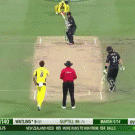 Awesome cricket catch