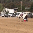 Woman catches kid falling off horse